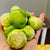 Brussel Sprouts from an Ayurvedic Perspective.