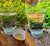 Triphala Eye Wash Treatment