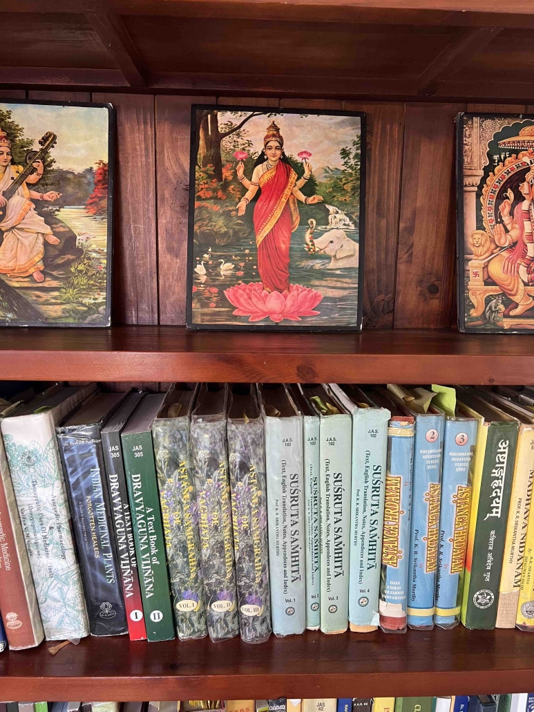 Our Top Ayurvedic Book Recommendations