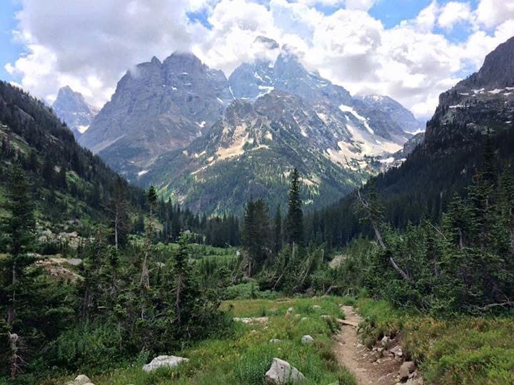 The Lovely Kapha Dosha