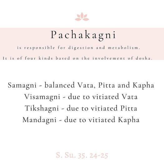 Pachakagni