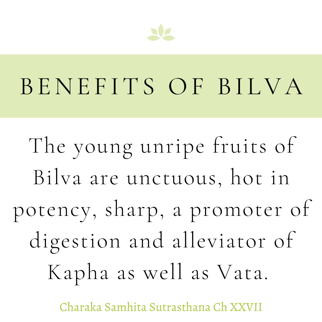 Benefits of Bilva
