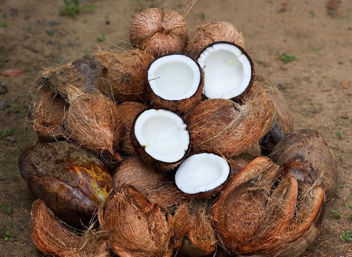 Coconut is called Narikela नारिकेल in Sanskrit. 