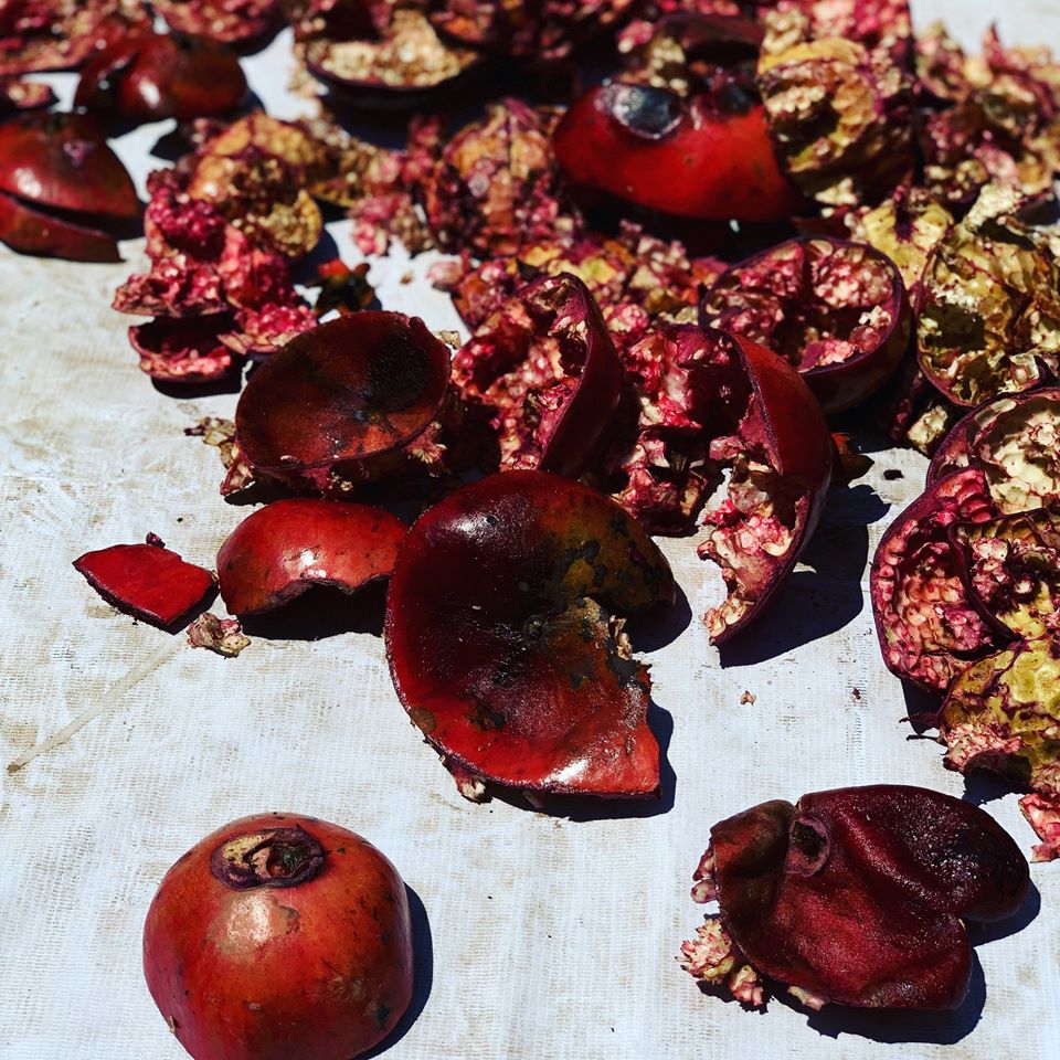 Pomegranate