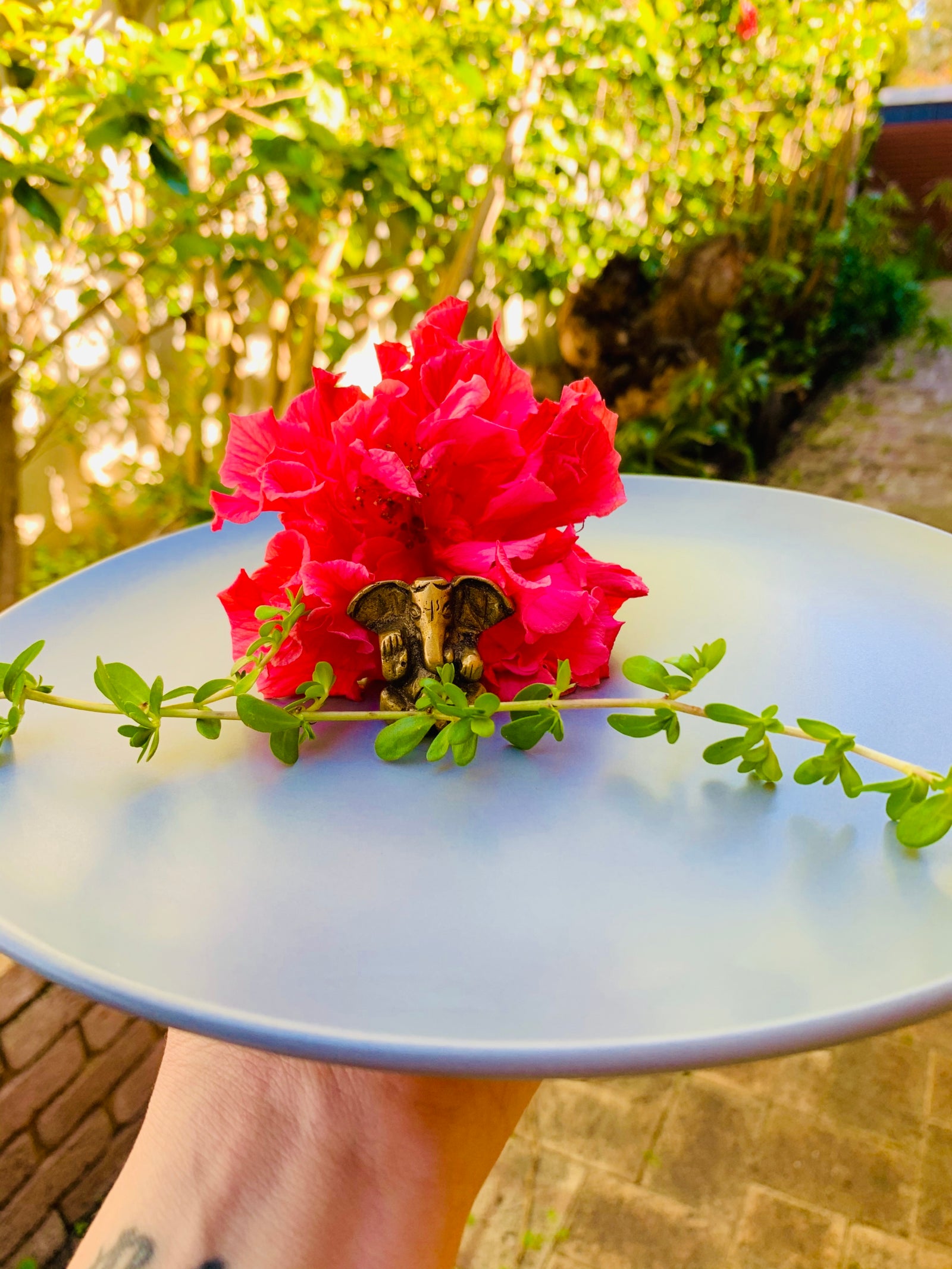 Ayurveda and Healthy Eating