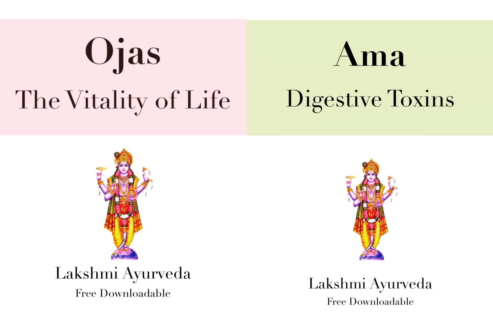 Ama and Ojas Downloadables