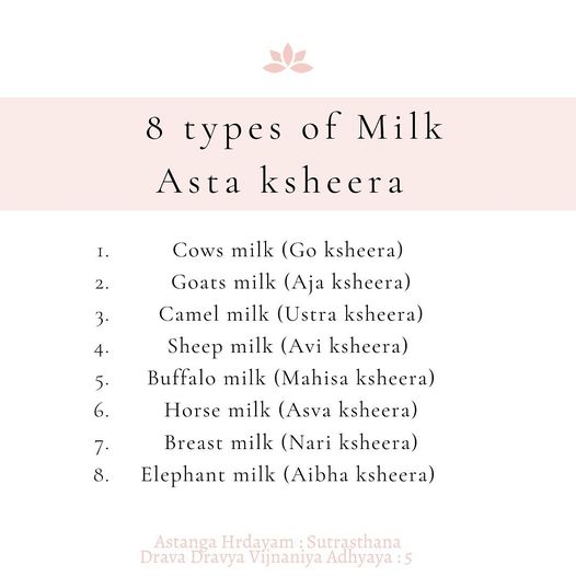 Are you a milk LOVER?