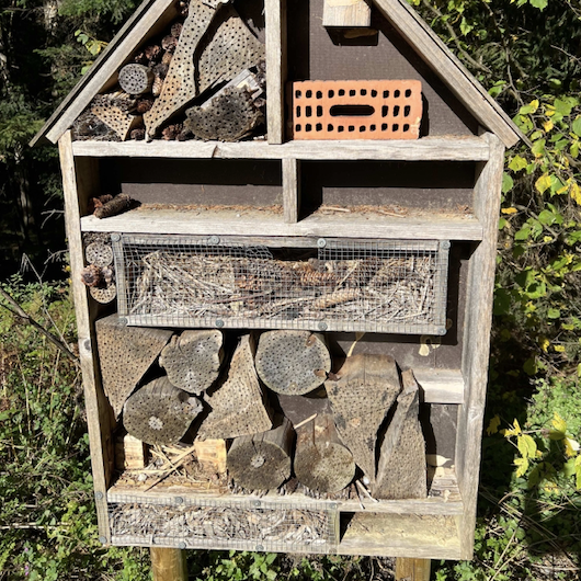 Insect Houses - Lakshmi Ayurveda