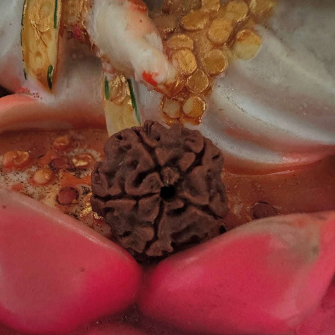 Rudraksha beads,  an ornament of Lord Shiva himself