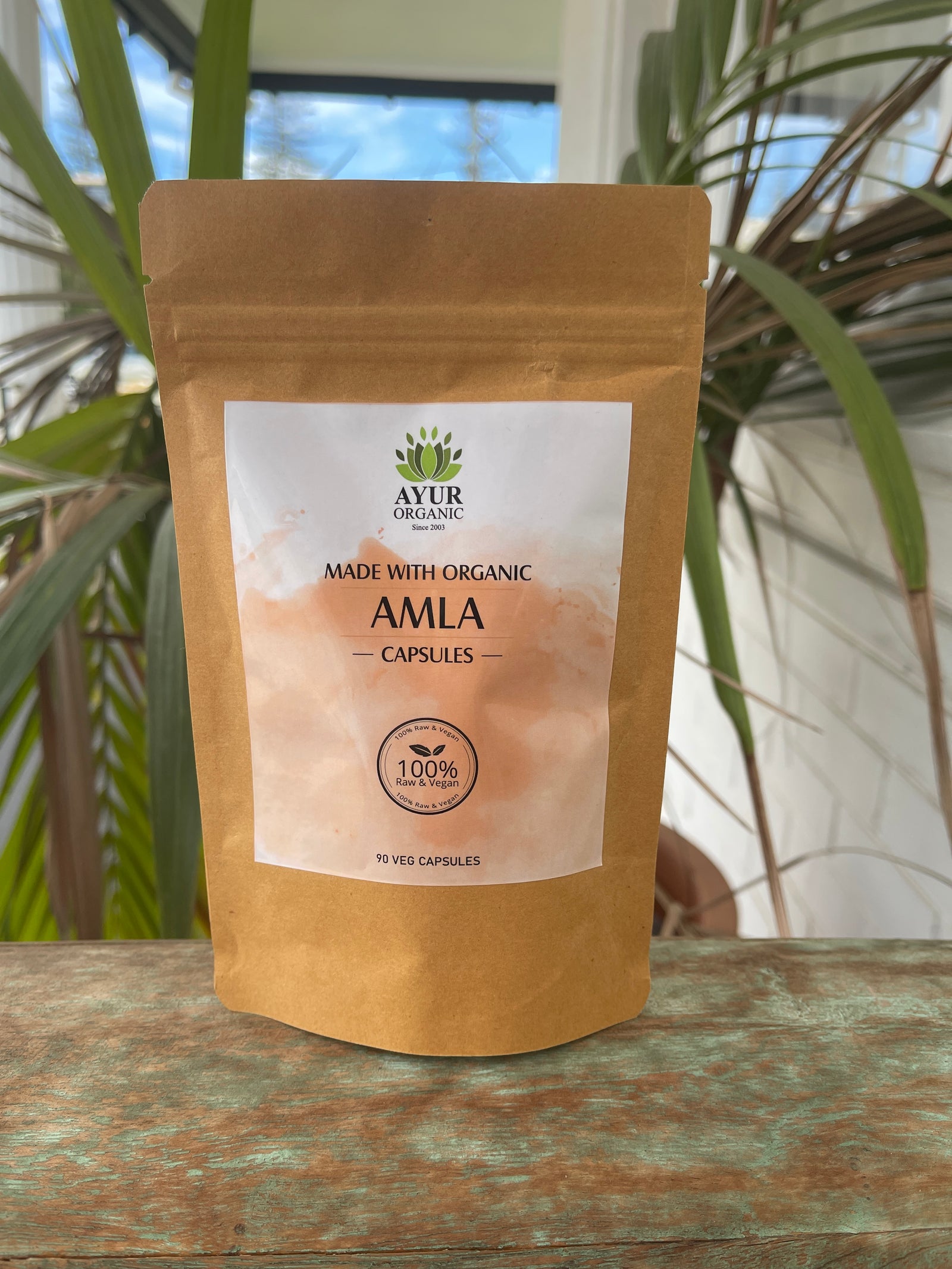 Organic Amla Capsules - 90