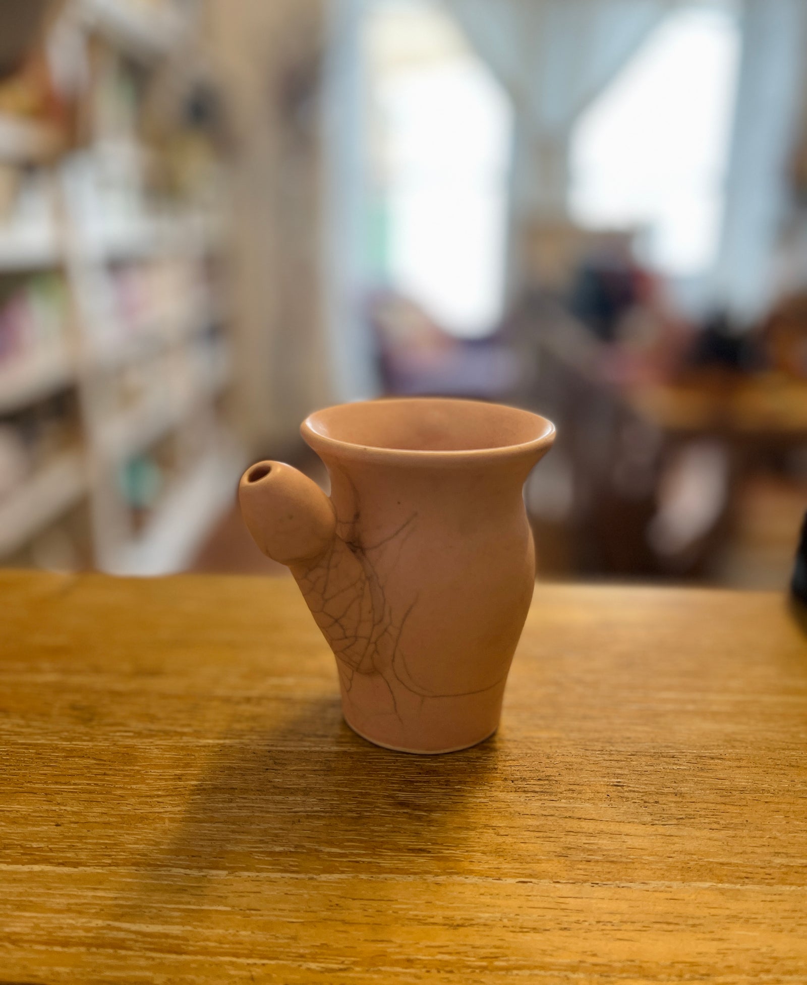 Netti Pot Nasal Irrigation