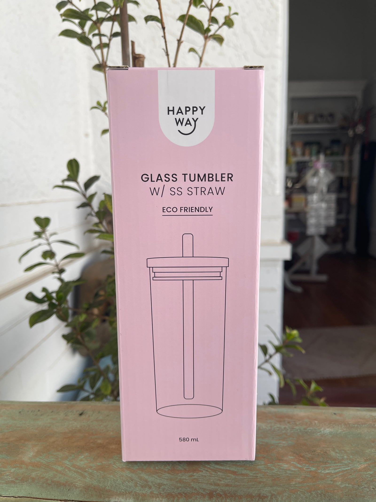 Glass Tumbler with Stainless Steel Straw - 580ml