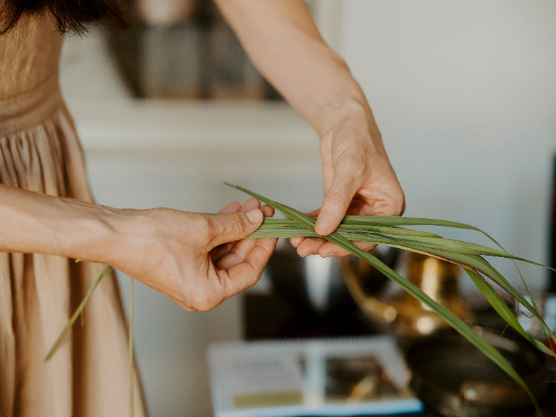 Stay Healthy in Winter - Ayurvedic Immunity, Cold and Flu Workshop